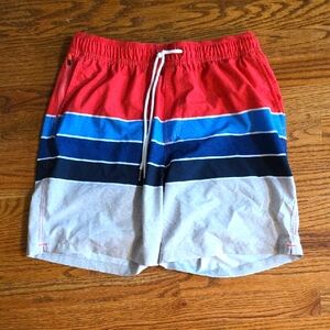 Men's Multicolor Striped Swim Shorts